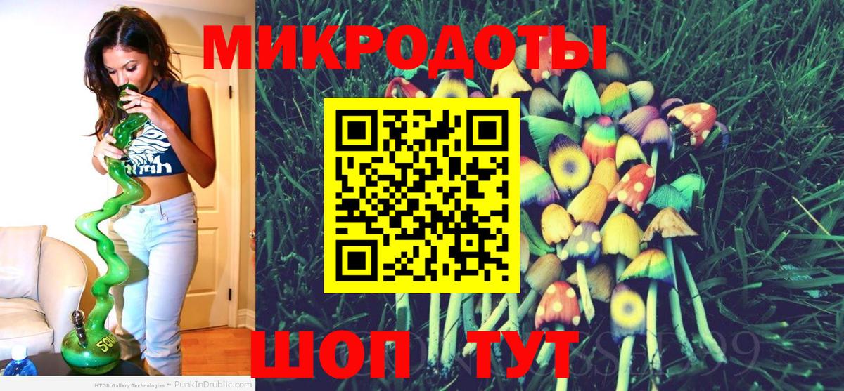Галлюциногенные грибы Psilocybe Киров